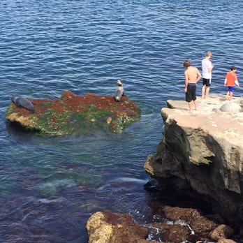 Children's Pool - Beaches Near Me - La Jolla, California Children's Pool - Beaches Near Me - La Jolla, California