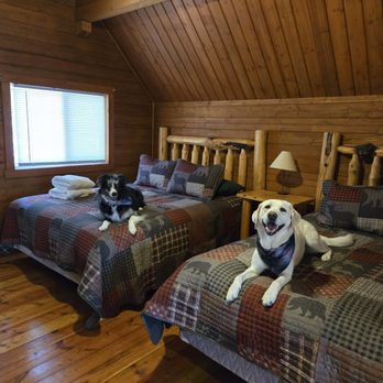 Lost Horse Lodge - Beds are puppy approved. - Hotels Near Me - Hamilton, Montana Lost Horse Lodge - Beds are puppy approved. - Hotels Near Me - Hamilton, Montana