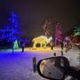 Photo of Winter Festival of Lights