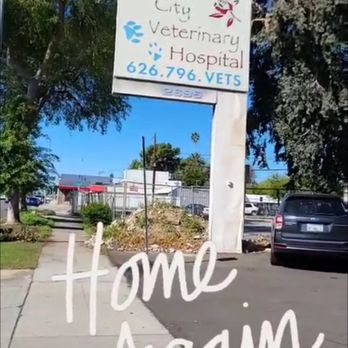 Rose City Veterinary Hospital - Veterinarians Near Me - Pasadena, California