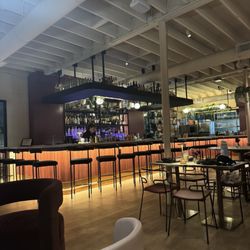 Sunday Social - Bar
