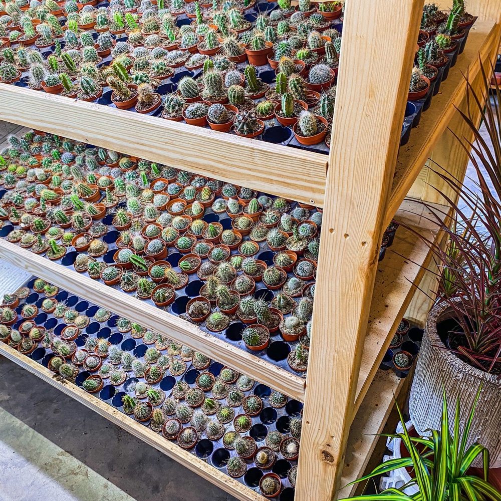 PlantHouse - Nurseries & Gardening Near Me - Charlotte, North Carolina PlantHouse - Nurseries & Gardening Near Me - Charlotte, North Carolina