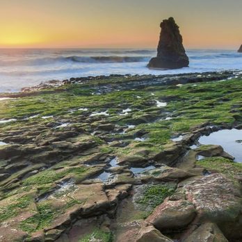 Davenport Beach - Beaches Near Me - Davenport, California