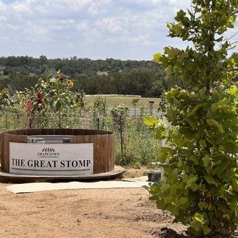 Grapetown Vineyard - Grape stomp - Wineries Near Me - Fredericksburg, Texas