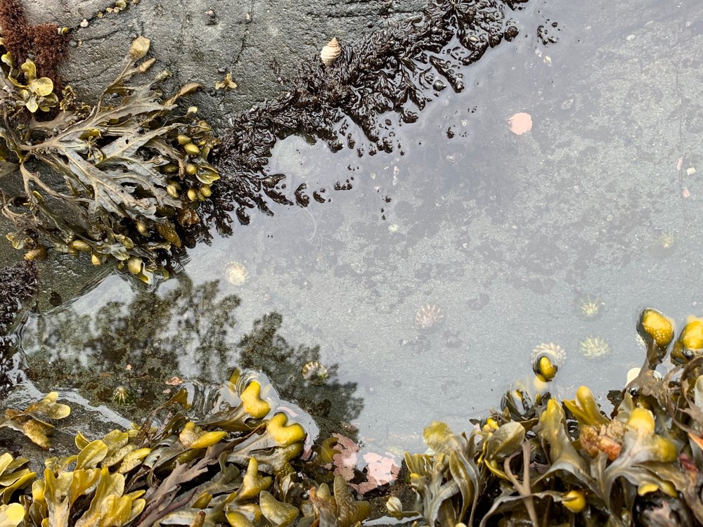 Watmough Bay Preserve Image