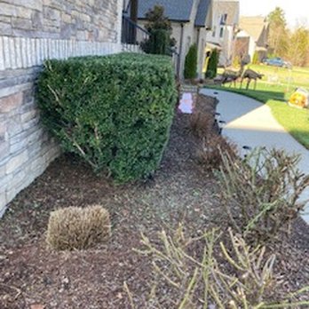 Vega Landscaping - Vega Landscaping! With 6 years of experience, doing what we love - to beautify your lawn! Call or text us 615-631-2567 - Tree Services Near Me Vega Landscaping - Vega Landscaping! With 6 years of experience, doing what we love - to beautify your lawn! Call or text us 615-631-2567 - Tree Services Near Me