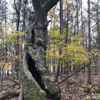Long Hunter State Park - Parks Near Me - Hermitage, Tennessee