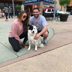 Chris Park K9 Dog Training