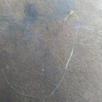 Tom's Drive In - Hair - American Near Me - Pulaski, Virginia