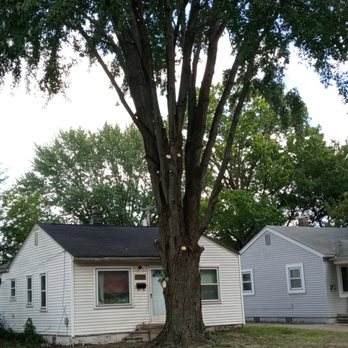 Gibbs Tree Services - This is what it looks like after they trimmed the tree - Tree Services Near Me - Shelby Township, Michigan