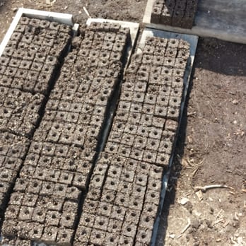 Veggielution - Soil cubes. Way cool. - Farmers Market Near Me - San Jose, California Veggielution - Soil cubes. Way cool. - Farmers Market Near Me - San Jose, California