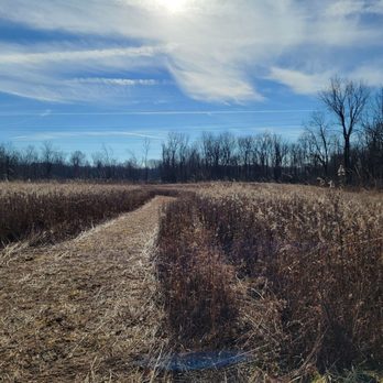 Hickory Woods Park - Meadow - Parks Near Me - Delaware, Ohio