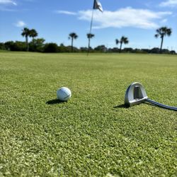 Moody Gardens Golf Course - Green s.....