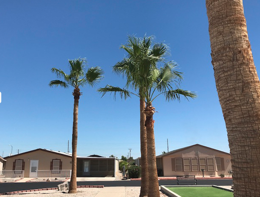 Rancho Rialto Rv Resort Yuma Az RANCHO RIALTO MANUFACTURED HOUSING & RV RESORT - 73 Photos - 11322 S