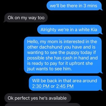 Crystals Creations - Our text with crystal - Pet Breeders Near Me Crystals Creations - Our text with crystal - Pet Breeders Near Me
