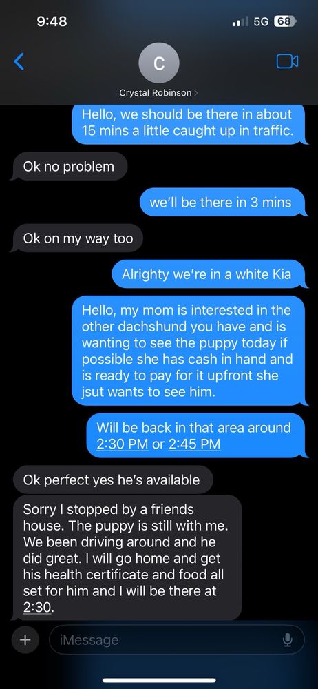 Crystals Creations - Our text with crystal - Pet Breeders Near Me - Ormond Beach, Florida Crystals Creations - Our text with crystal - Pet Breeders Near Me - Ormond Beach, Florida
