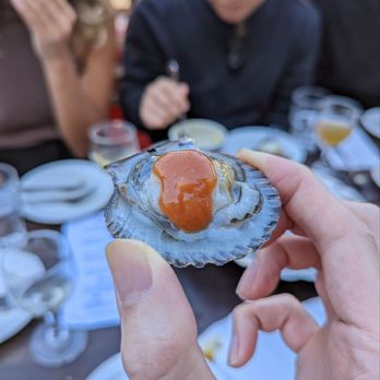 Found Oyster - scallop (not the tostada) - Seafood Near Me - Los Angeles, California Found Oyster - scallop (not the tostada) - Seafood Near Me - Los Angeles, California