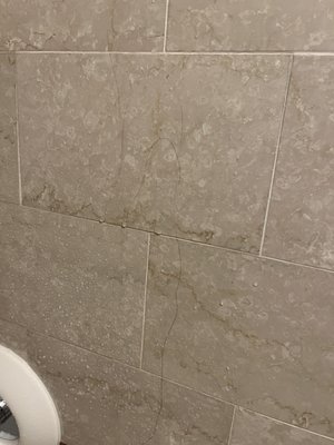 The Wall Street Inn by null