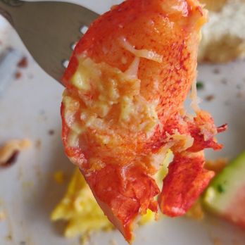 Eggs-Cetera Cafe - REAL chunks of lobster! - American Near Me - Lake Worth, Florida Eggs-Cetera Cafe - REAL chunks of lobster! - American Near Me - Lake Worth, Florida