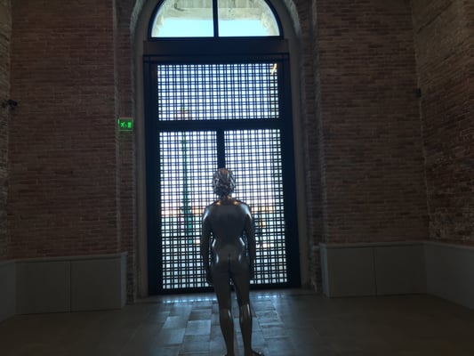 Punta della Dogana by null