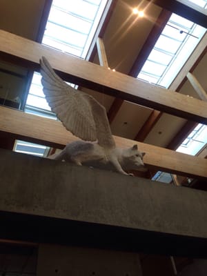 Wieden & Kennedy by null