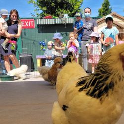 Tiny Einstein Child Development Center - Petting Zoo at Tiny Einstein