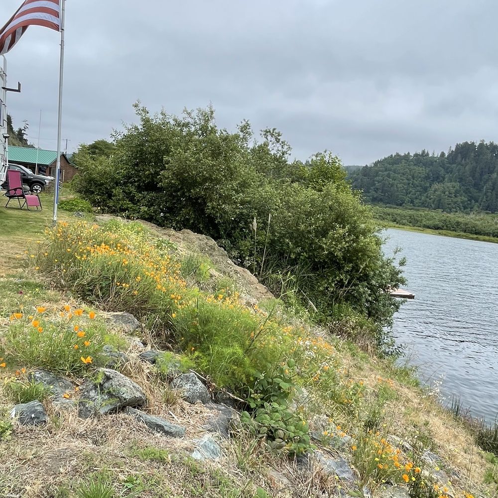 Golden Bear Rv Park - RV Parks Near Me - Klamath, California Golden Bear Rv Park - RV Parks Near Me - Klamath, California