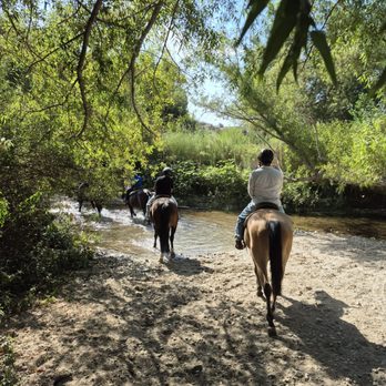 Monteverde Ranch Equestrian Center - Trail riding in Hansen Dam is beautiful! Groups of 10 welcomed!! - Horseback Riding Near Me - Sylmar, California