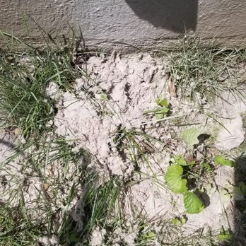Green Choice Dallas - dryer vent cleaning- lint removal - Carpet Cleaning Near Me - Dallas, Texas
