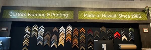 Success stories and testimonials