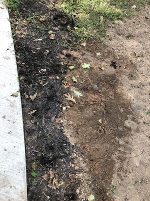 Bosma Sewer & Water Plumbing Logo