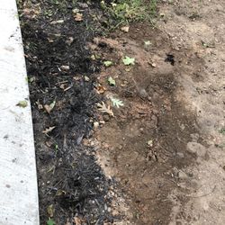 Bosma Sewer & Water Plumbing