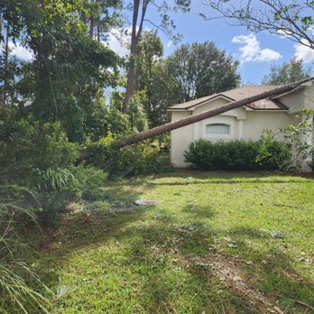 Trees Only - Tree Services Near Me - Bunnell, Florida Trees Only - Tree Services Near Me - Bunnell, Florida