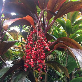 Hike Maui - Tours Near Me - Kahului, Hawaii