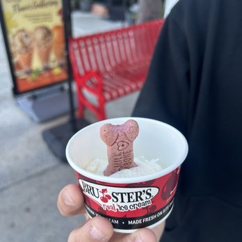 Bruster's Real Ice Cream - Pup cup - Desserts Near Me - Upland, California