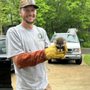 Photo of Central Ohio Wildlife Control