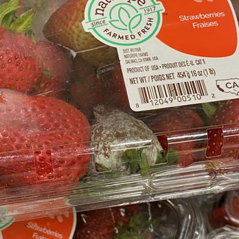 Food4Less - Moldy strawberries. - Grocery Near Me - San Diego, California Food4Less - Moldy strawberries. - Grocery Near Me - San Diego, California