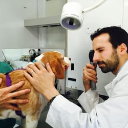 Reiss Mobile Vet