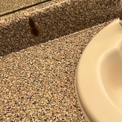 Atlas Real Estate - Burn mark on the sink.
