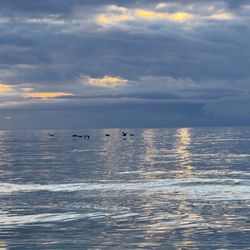 Tween Waters - Amazing sunsets