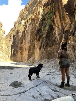 Big Bend Ranch State Park by null
