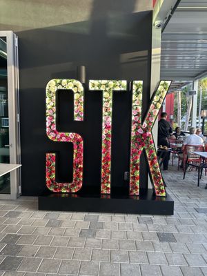 STK Aventura by null