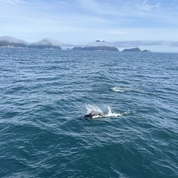 Kenai Fjords Tours - Boat Tours Near Me - Seward, Alaska