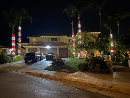 Both neighbors - Did both neighbors houses and trees 
One has led candy cane 
One has incandescent candy cane