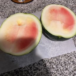 Typical watermelon