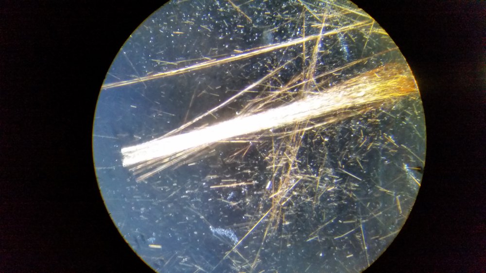 Asbestos Northwest - mold inspector in Federal Way, WA