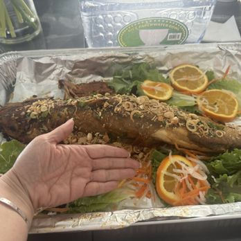 Zan Kitchen - This was an XL, it was tiny! - Vietnamese Near Me - Westminster, California