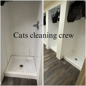 Cats Cleaning Crew - Home Cleaning Near Me - San Marcos, Texas Cats Cleaning Crew - Home Cleaning Near Me - San Marcos, Texas