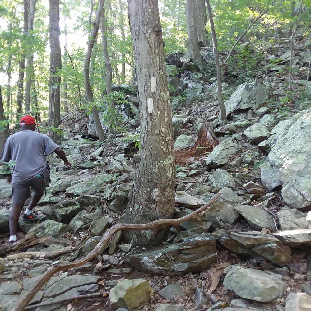 Trumbo Hollow Hike - Rocky path - Hiking Near Me - Linden, Virginia