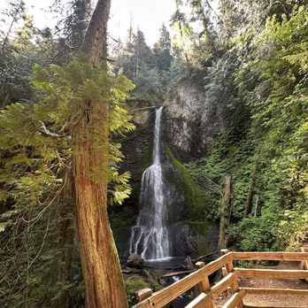 Marymere Falls - Hiking Near Me - Port Angeles, Washington Marymere Falls - Hiking Near Me - Port Angeles, Washington